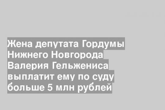 Жена депутата Гордумы Нижнего Новгорода Валерия Гельжениса выплатит ему по суду больше 5 млн рублей