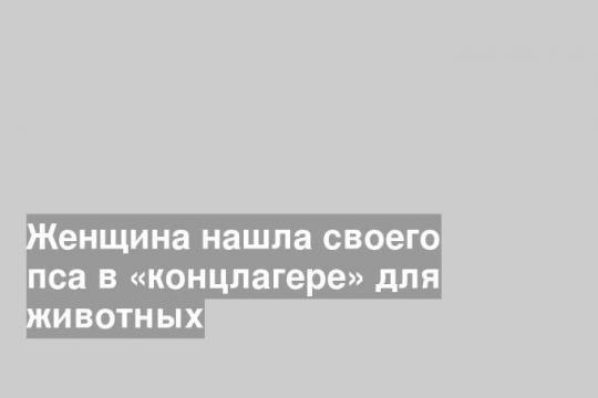 Женщина нашла своего пса в «концлагере» для животных