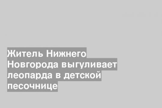 Житель Нижнего Новгорода выгуливает леопарда в детской песочнице