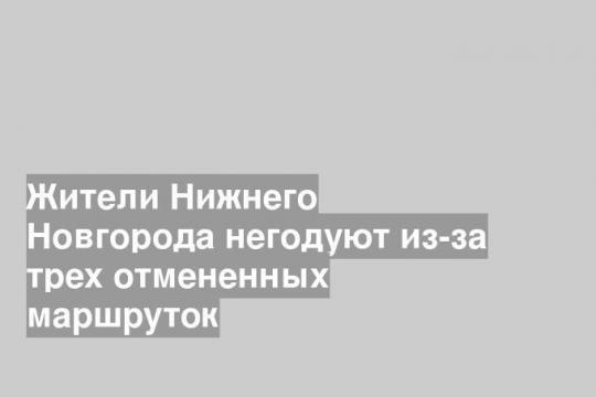 Жители Нижнего Новгорода негодуют из-за трех отмененных маршруток