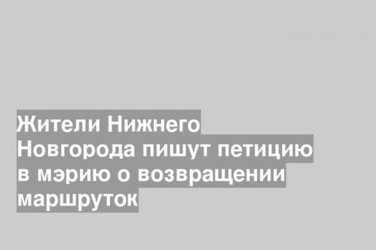 Жители Нижнего Новгорода пишут петицию в мэрию о возвращении маршруток