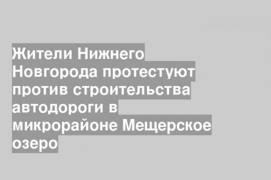 Жители Нижнего Новгорода протестуют против строительства автодороги в микрорайоне Мещерское озеро