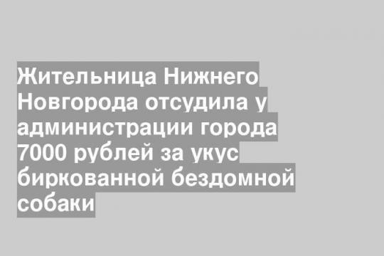 Жительница Нижнего Новгорода отсудила у администрации города 7000 рублей за укус биркованной бездомной собаки