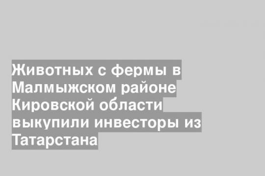 Животных с фермы в Малмыжском районе Кировской области выкупили инвесторы из Татарстана
