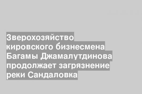 Зверохозяйство кировского бизнесмена Багамы Джамалутдинова продолжает загрязнение реки Сандаловка