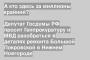 Депутат Госдумы РФ просит Генпрокуратуру и МВД разобраться в деталях ремонта Большой Покровской в Нижнем Новгороде