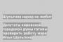 Депутаты кировской городской думы готовы проверить работу мэра Ильи Шульгина