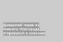 Домашний тиран из Нижнего Новгорода отправился в колонию