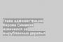 Глава администрации Кирова Симаков извинился за вырубленные деревья