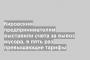 Кировским предпринимателям выставили счета за вывоз мусора, в пять раз превышающие тарифы