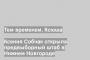 Ксения Собчак открыла предвыборный штаб в Нижнем Новгороде