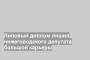 Липовый диплом лишил нижегородского депутата большой карьеры