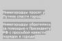 Нижегородцы обратились за помощью к Президенту РФ с просьбой навести порядок в городе
