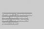 Сегодня в Сормовском парке нижегородцы смогут попробовать кулич-гигант