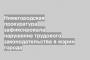 Нижегородская прокуратура зафиксировала нарушение трудового законодательства в мэрии города