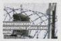 Нижегородская журналистка убила свою мать