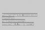 Нижегородские чиновники записали парализованного инвалида в террористы