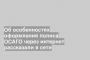 Об особенностях оформления полиса ОСАГО через интернет рассказали в сети