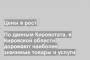 По данным Кировстата, в Кировской области дорожают наиболее значимые товары и услуги