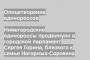 Нижегородские единороссы продвинули в городской парламент Сергея Горина, близкого к семье Нагорных-Сорокина