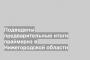 Подведены предварительные итоги праймериз в Нижегородской области