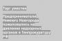 Предприниматели Нижнего Новгорода пожаловались на давление надзорных органов в Генпрокуратуру РФ