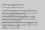 Росреестр Нижегородской области опроверг умышленность ошибки в документах по «многоквартирному» дому в «Карповке»