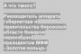 Руководитель аппарата губернатора и правительства Кировской области Комаров переизбран президентом МФФ «Золотое кольцо»