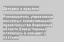Руководитель управления массовых коммуникаций правительства Кировской области Елена Черных вляпалась в скандал с платьем
