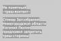 Спикер Загсобрания Нижегородской области Евгений Люлин предложил запретить треш-стиримы