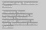 Владимир Панов пригласил отвечать за выборы в Нижнем Новгороде судимого за кражу бюллетеней Антона Садкина