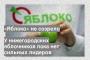 У нижегородских яблочников пока нет сильных лидеров