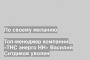 Топ-менеджер компании «ТНС энерго НН» Василий Ситдиков уволен
