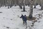 В городе Яранск Кировской области усилят контроль за содержанием собак