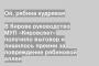 В Кирове руководство МУП «Кировсвет» получило выговор и лишилось премии за повреждение рябиновой аллеи