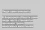 В Кировской области сами люди часто становятся причиной травм, наносимых животными