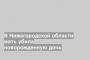 В Нижегородской области мать убила новорожденную дочь