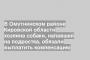 В Омутнинском районе Кировской области хозяина собаки, напавшей на подростка, обязали выплатить компенсацию