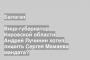 Вице-губернатор Кировской области Андрей Лучинин хотел лишить Сергея Мамаева мандата?