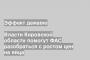 Власти Кировской области помогут ФАС разобраться с ростом цен на яйца