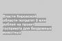 Власти Кировской области потратят 8 млн рублей на проект госприюта для бездомных животных