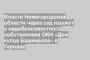 Власти Нижегородской области через суд изымут у недобросовестного собственника ОКН «Дом купца Башкирова» в Городце