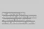 Экс-депутата ОЗС Кировской области Олесю Редькину освободили из-под домашнего ареста