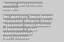 Экс-депутату Заксобрания Кировской области Олесе Редькиной предъявлены обвинения в ряде коррупционных преступлений
