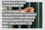 За 8 месяцев «предвыборной тюрьмы» кандидату в заксобрание Нижегородской области 2006 года заплатят 750 евро