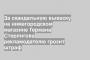 За скандальную вывеску на нижегородском магазине Германа Стерлигова рекламодателю грозит штраф