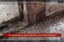 Жители одного из домов в Нововятском районе Кирова страдают от нашествия насекомых